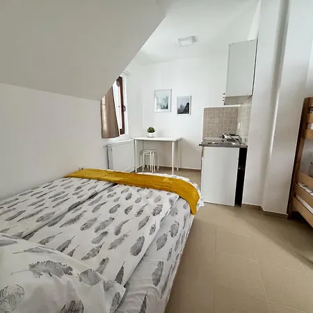 Aurora Kopaonik, 50m Od Gondole Apartment